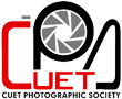 logogfp